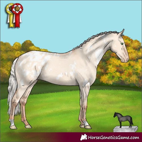 Horse Color:White Spotted Silver Classic Champagne Dun Appaloosa 