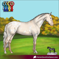 Horse Color:White Spotted Silver Classic Champagne Dun Blanket 