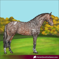 Horse Color:Bay Blanket and Bay Blanket