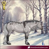 Horse Color:Powder White Platinum White Spotted Silver Brown Dun Rabicano 