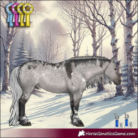 Horse Color:Powder White Platinum White Spotted Silver Brown Dun Rabicano 