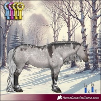 Horse Color:Powder White Platinum White Spotted Silver Brown Dun Rabicano 