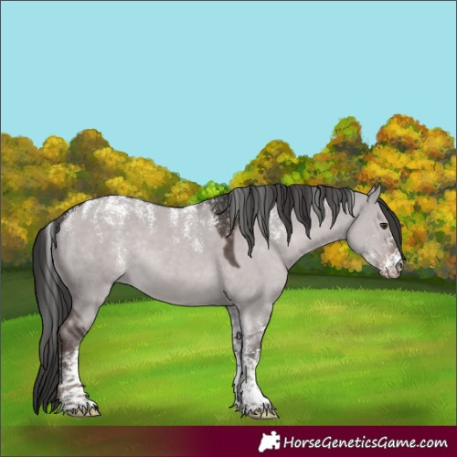 Horse Color:Powder White Platinum Liver Red Dun Rabicano 