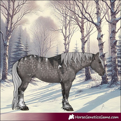 Horse Color:Powder White Platinum White Spotted Silver Brown Dun Rabicano 