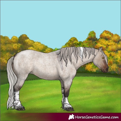 Horse Color:Silver Brown Roan Dun Tobiano 