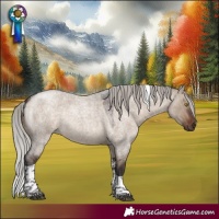 Horse Color:Silver Brown Roan Dun Tobiano 