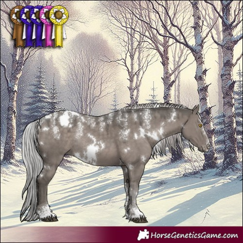 Horse Color:Powder White Platinum White Spotted Silver Grullo Rabicano 