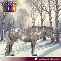 Horse Color:Powder White Platinum White Spotted Silver Grullo Rabicano 