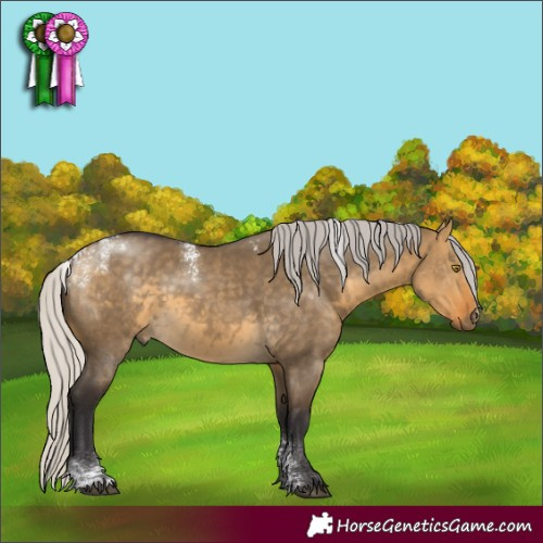 Horse Color:Powder White White Spotted Silver Buckskin Dun 