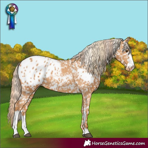 Horse Color:Chestnut Blanket  and Chestnut Blanket 