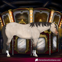 Horse Color:Bay Roan Dun 