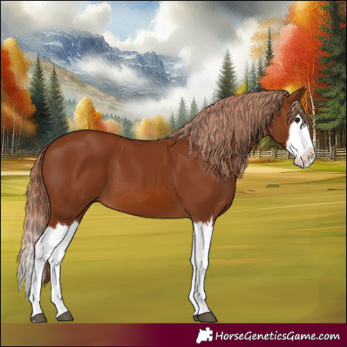 Horse Color:Chestnut Splash 