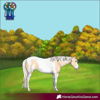 Horse Color:Palomino Pearl Tobiano Frame 