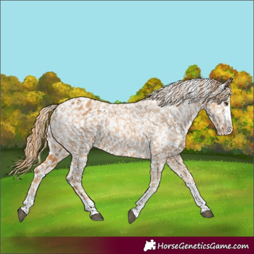 Horse Color:Chestnut Snowflake Varnish  and Chestnut Snowflake Varnish 