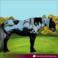 Horse Color:ERROR: UNKNOWN ANOMALY