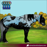 Horse Color:ERROR: UNKNOWN ANOMALY