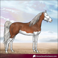 Horse Color:Silver Brown Splash