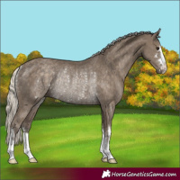 Horse Color:Silver Smoky Black Rabicano 