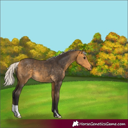 Horse Color:Silver Buckskin 