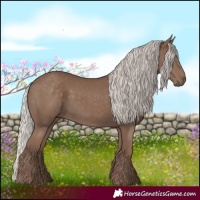 Horse Color:Silver Black