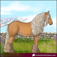 Horse Color:Palomino 