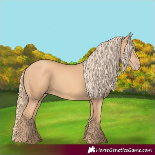 Horse Color:Gold Champagne 