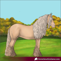 Horse Color:Gold Champagne