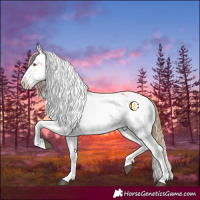 Horse Color:Buckskin Snowflake Varnish and Buckskin Splash Snowflake Varnish