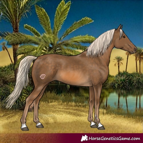 Horse Color:Chocolate Palomino 