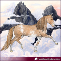 Horse Color:Chestnut Snowflake Varnish and White Spotted Chestnut Snowflake Varnish