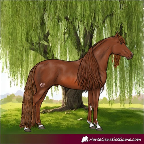 Horse Color:Chestnut 
