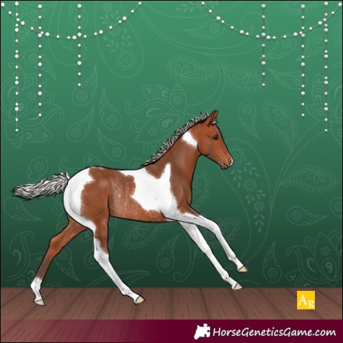 Horse Color:Silver Bay Tobiano Rabicano 