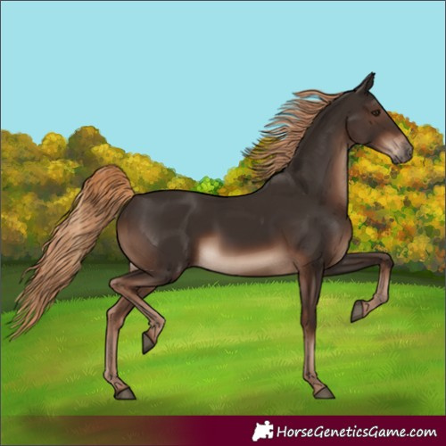 Horse Color:White Spotted Liver Chestnut 