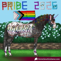 Horse Color:Bay Appaloosa Rabicano  and Black Appaloosa Rabicano 