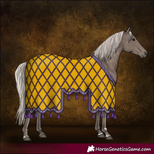 Horse Color:Silver Black