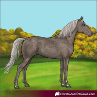 Horse Color:Silver Black 
