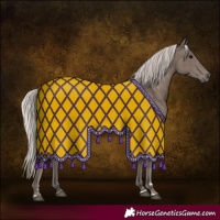 Horse Color:Silver Black 