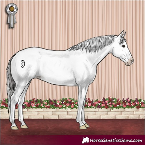 Horse Color:Buckskin Sabino Near Leopard 
