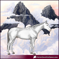 Horse Color:White Spotted Bay 