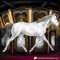 Horse Color:White Spotted Black