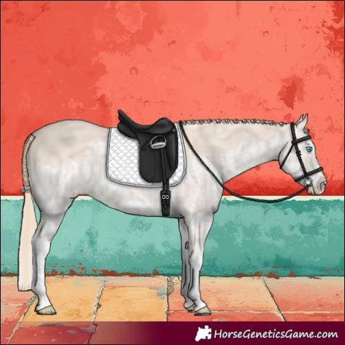 Horse Color:Perlino Splash  and Perlino Splash 