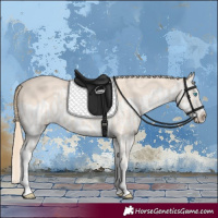 Horse Color:Perlino Splash and Perlino Splash