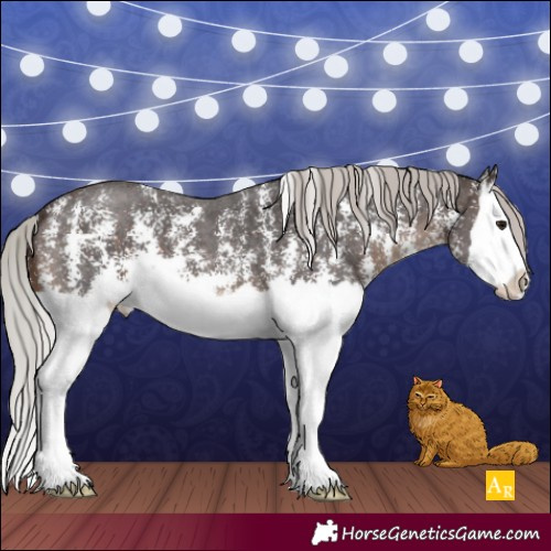 Horse Color:Silver Brown Sabino Splash 
