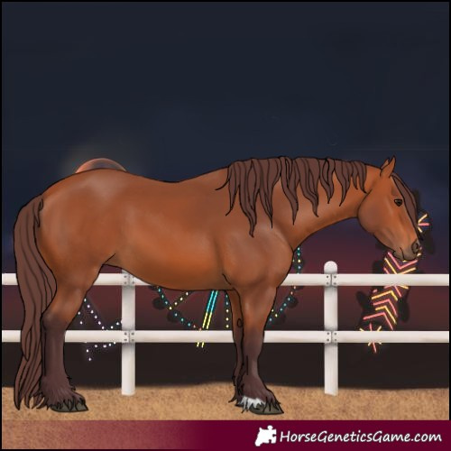 Horse Color:Chocolate Bay 