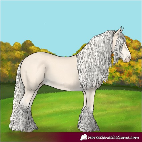 Horse Color:Cremello 