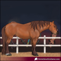 Horse Color:Chocolate Bay