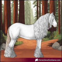 Horse Color:White Spotted Chestnut