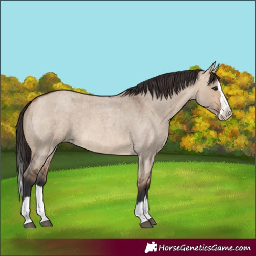 Horse Color:Bay Roan Dun Splash 