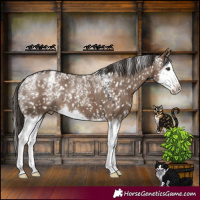 Horse Color:Powder White Liver Red Dun Splash Snowcap Rabicano 
