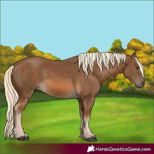 Horse Color:Chocolate Palomino 